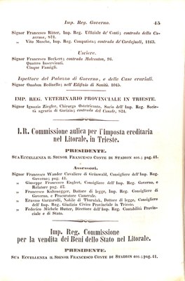 Scematismo dell'I. R. Litorale Austro-Illirico ed unitovi Indicatore generale della Città di Tr  · Str. 65