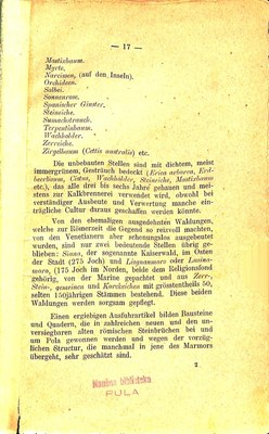 Führer für Pola und Umgebung · Str. 21