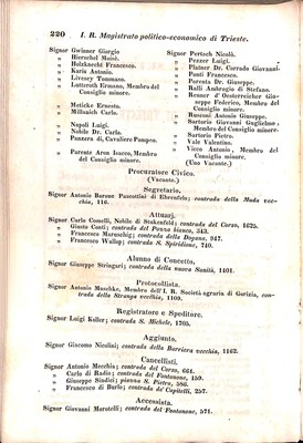 Scematismo dell'I. R. Litorale Austro-Illirico ed unitovi Indicatore generale della Città di Tr  · Str. 240