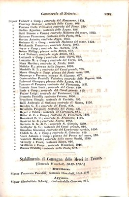 Scematismo dell'I. R. Litorale Austro-Illirico ed unitovi Indicatore generale della Città di Tr  · Str. 253
