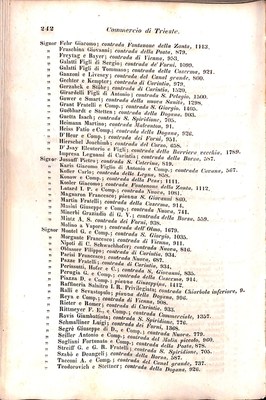 Scematismo dell'I. R. Litorale Austro-Illirico ed unitovi Indicatore generale della Città di Tr  · Str. 262