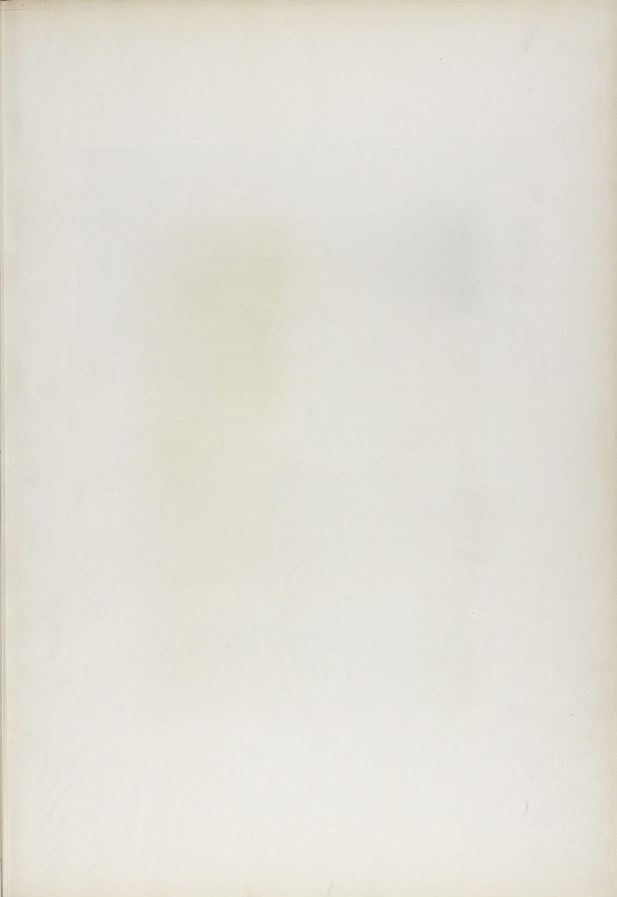 Stranica 24
