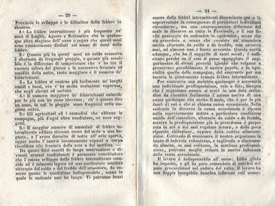 Almanacco 11