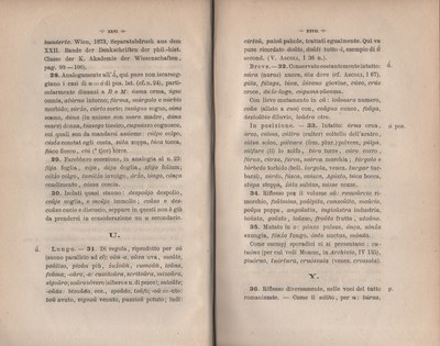 Canti_popolari 15