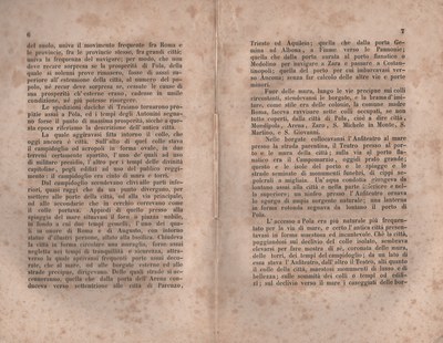 Forestiero 85
