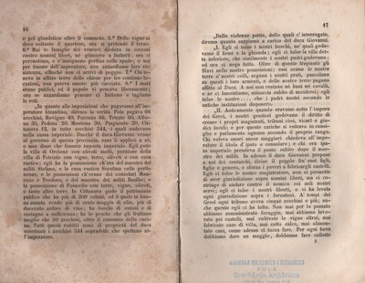 Forestiero 90