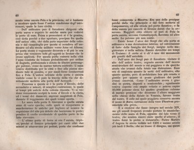 Forestiero 102
