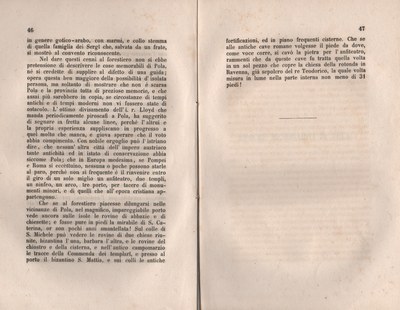 Forestiero 105