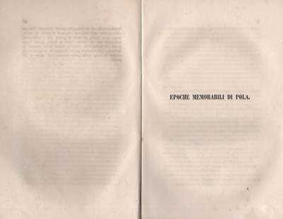 Forestiero 106