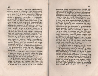 Forestiero 142
