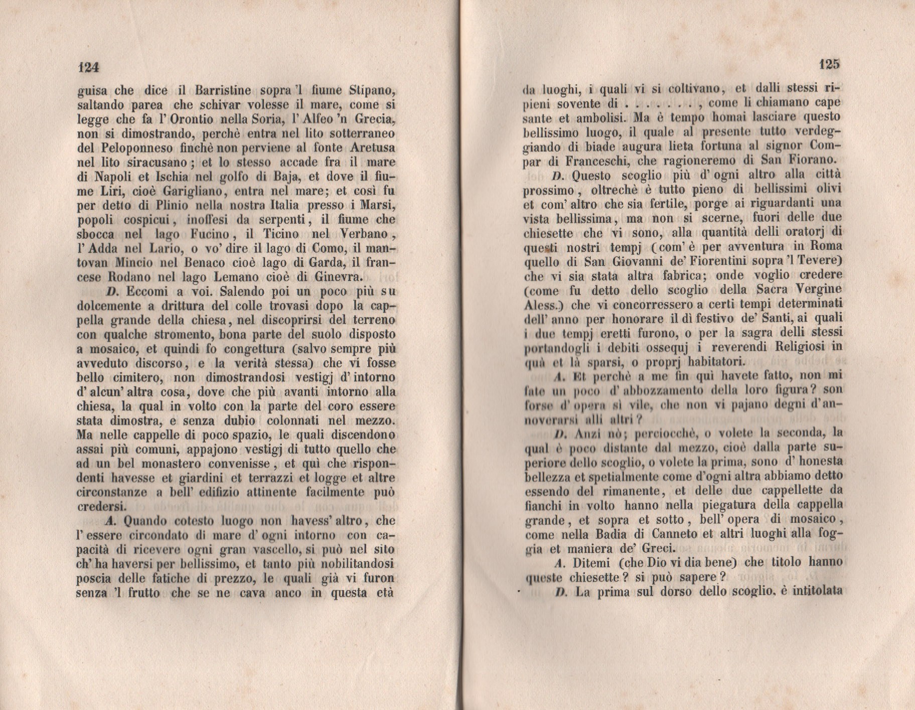 Forestiero 144