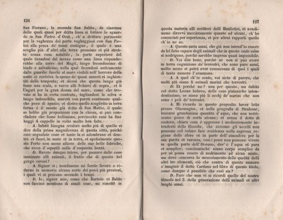 Forestiero 145