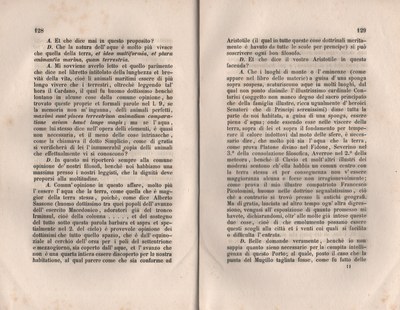 Forestiero 146