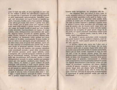 Forestiero 149