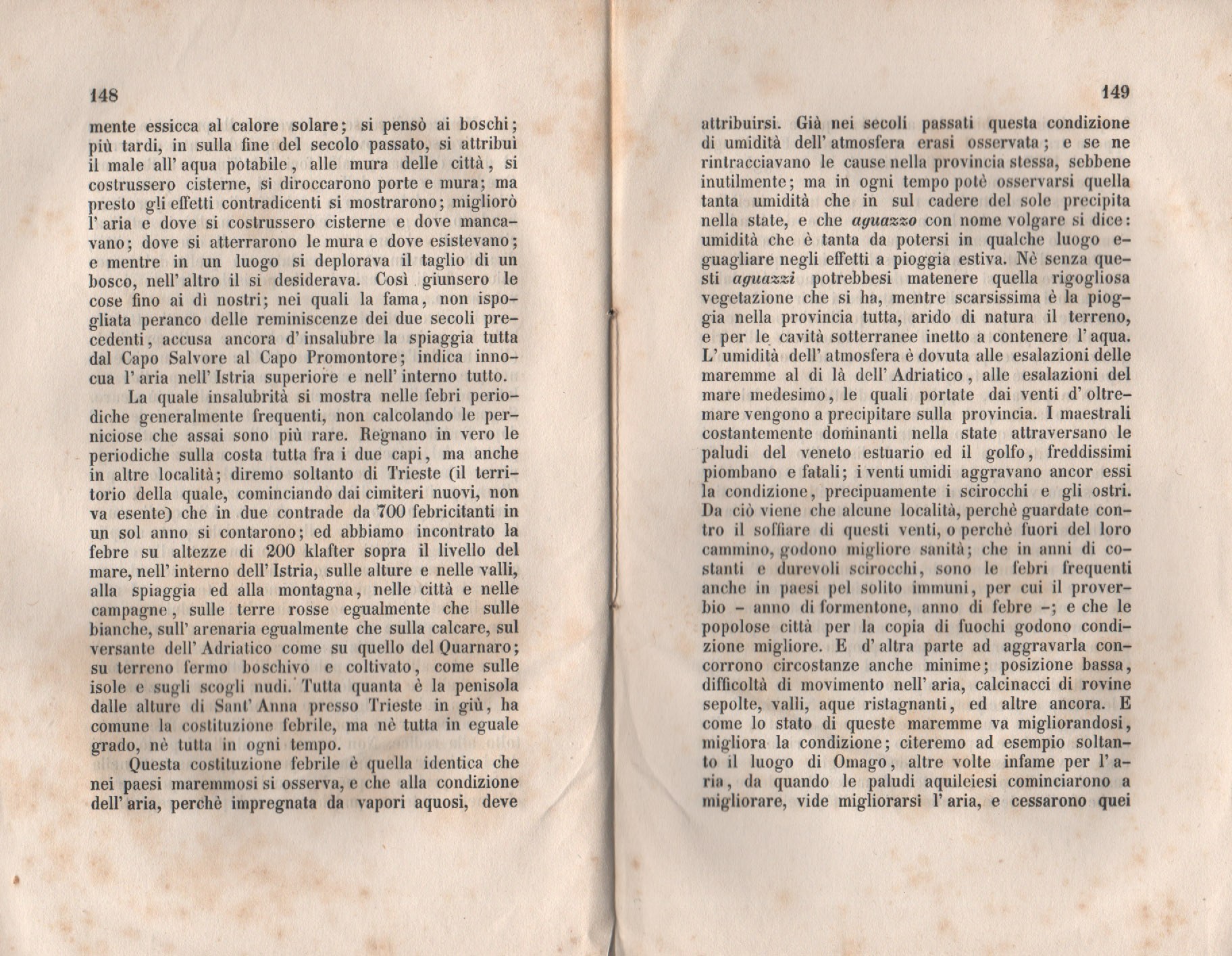 Forestiero 156