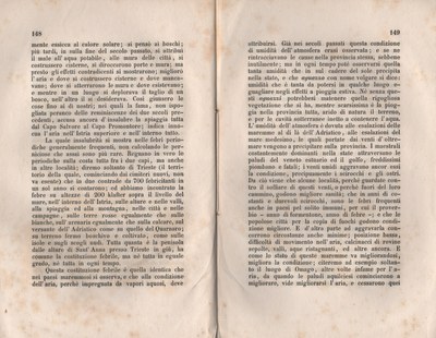 Forestiero 156
