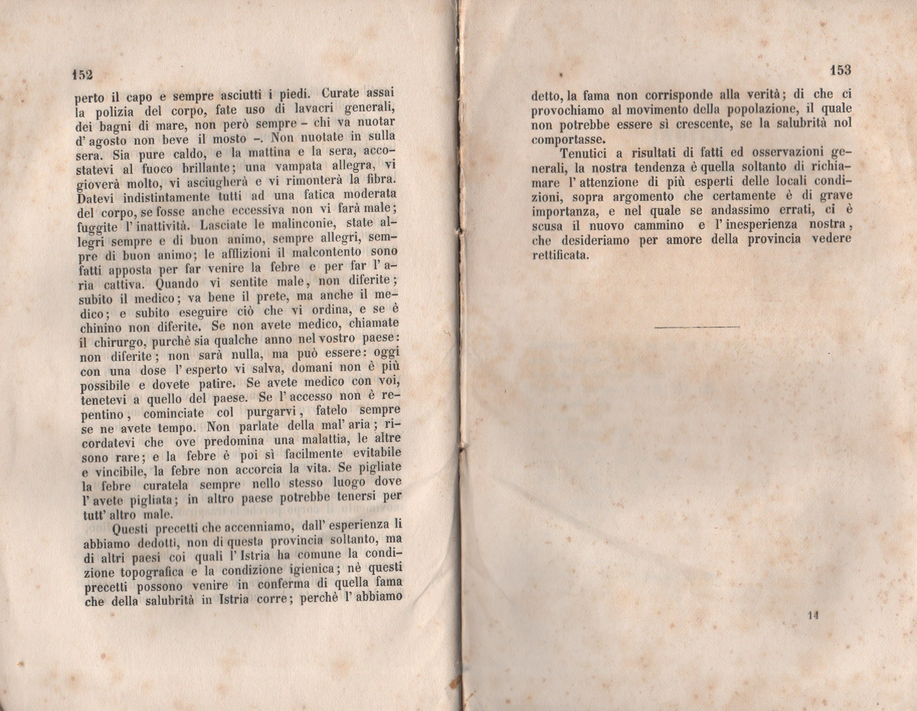 Forestiero 158