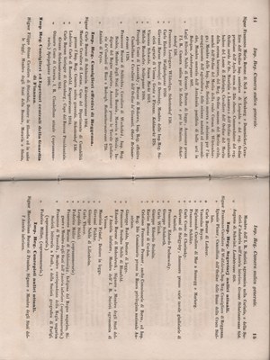 Manuale 13