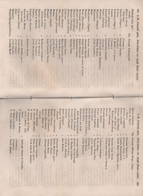 Manuale 28