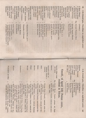 Manuale 29