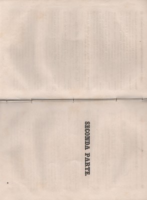 Manuale 31