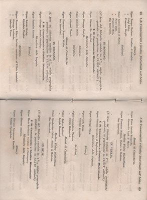 Manuale 40