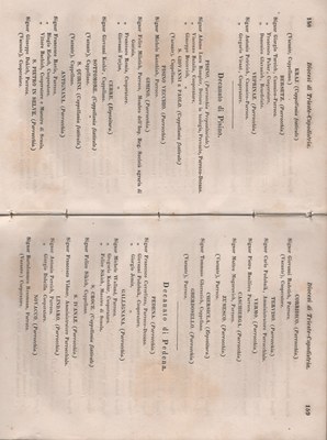 Manuale 85
