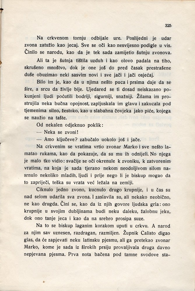 Stranica 339