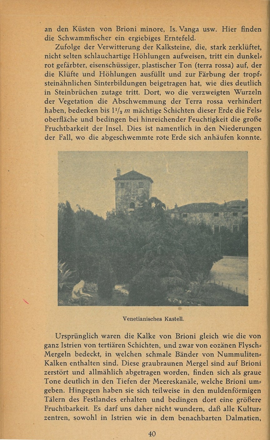 Führer durch Brioni · Str. 42