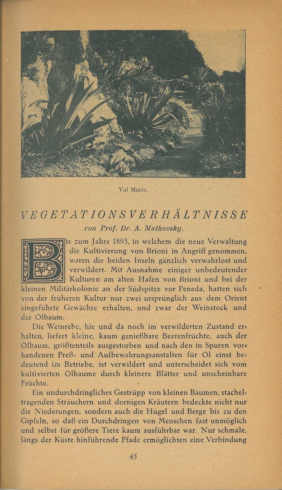Führer durch Brioni · Str. 47