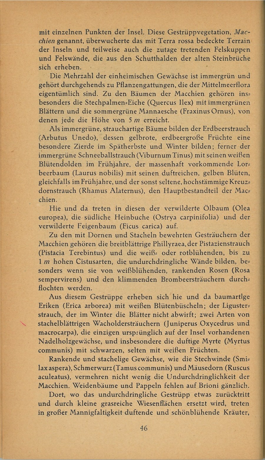 Führer durch Brioni · Str. 48