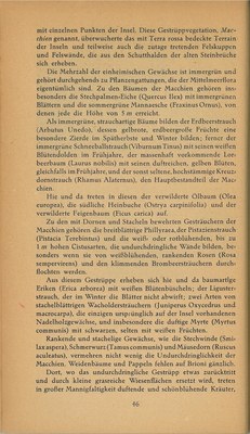 Führer durch Brioni · Str. 48
