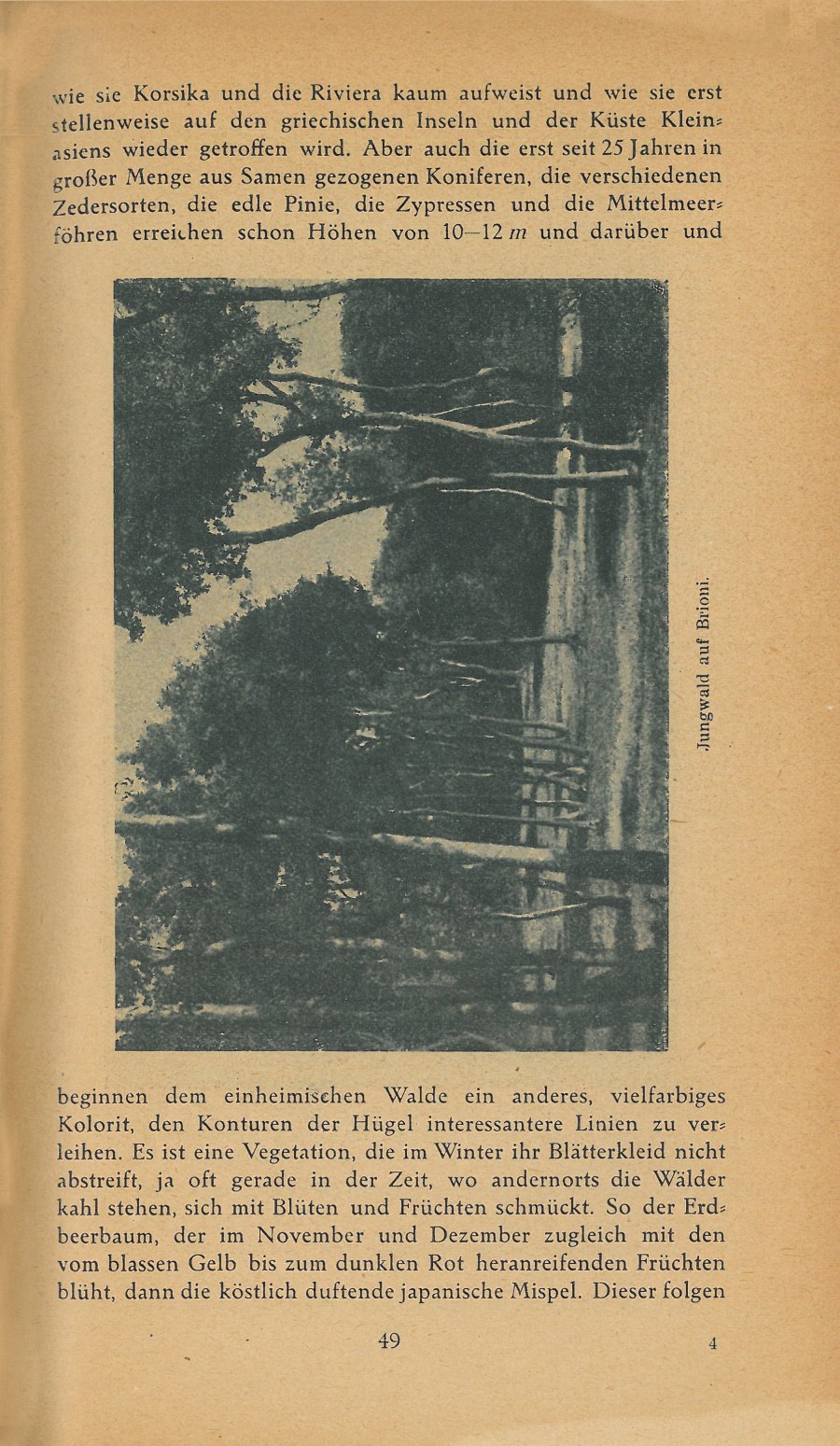 Führer durch Brioni · Str. 51