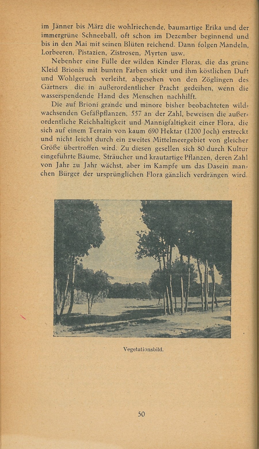 Führer durch Brioni · Str. 52