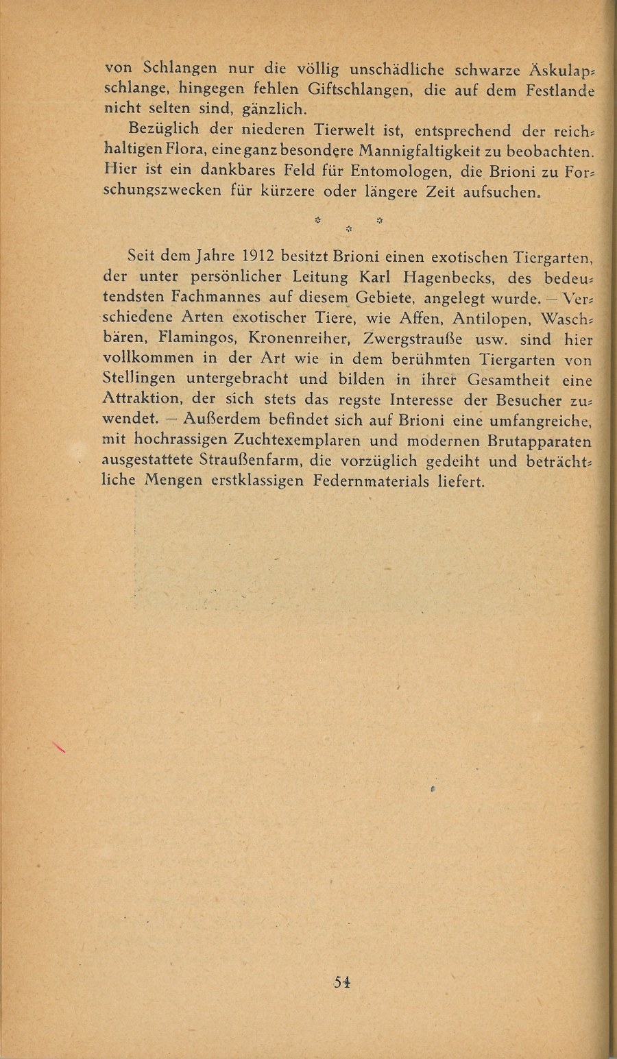 Führer durch Brioni · Str. 56