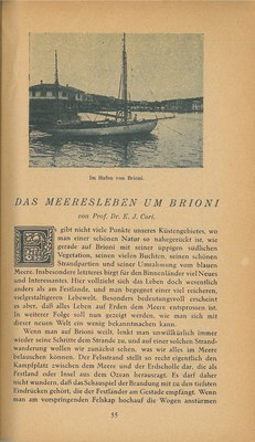 Führer durch Brioni · Str. 57