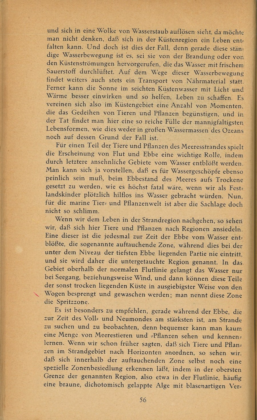 Führer durch Brioni · Str. 58