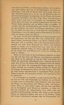 Führer durch Brioni · Str. 58