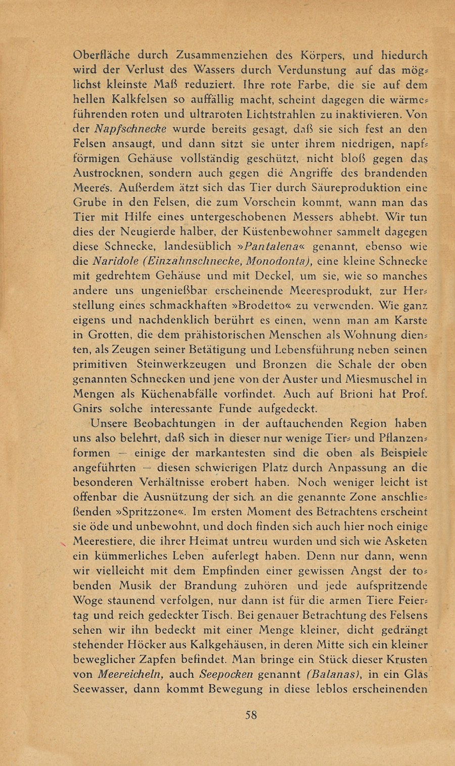 Führer durch Brioni · Str. 60