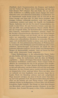 Führer durch Brioni · Str. 60