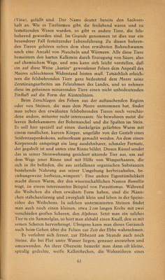 Führer durch Brioni · Str. 63