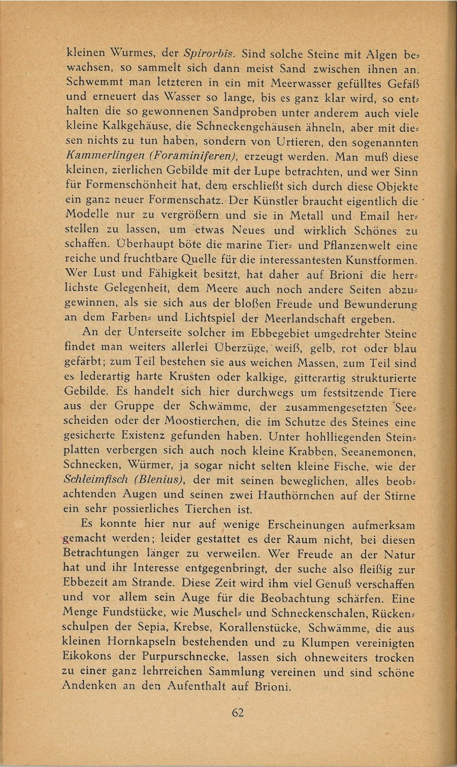 Führer durch Brioni · Str. 64