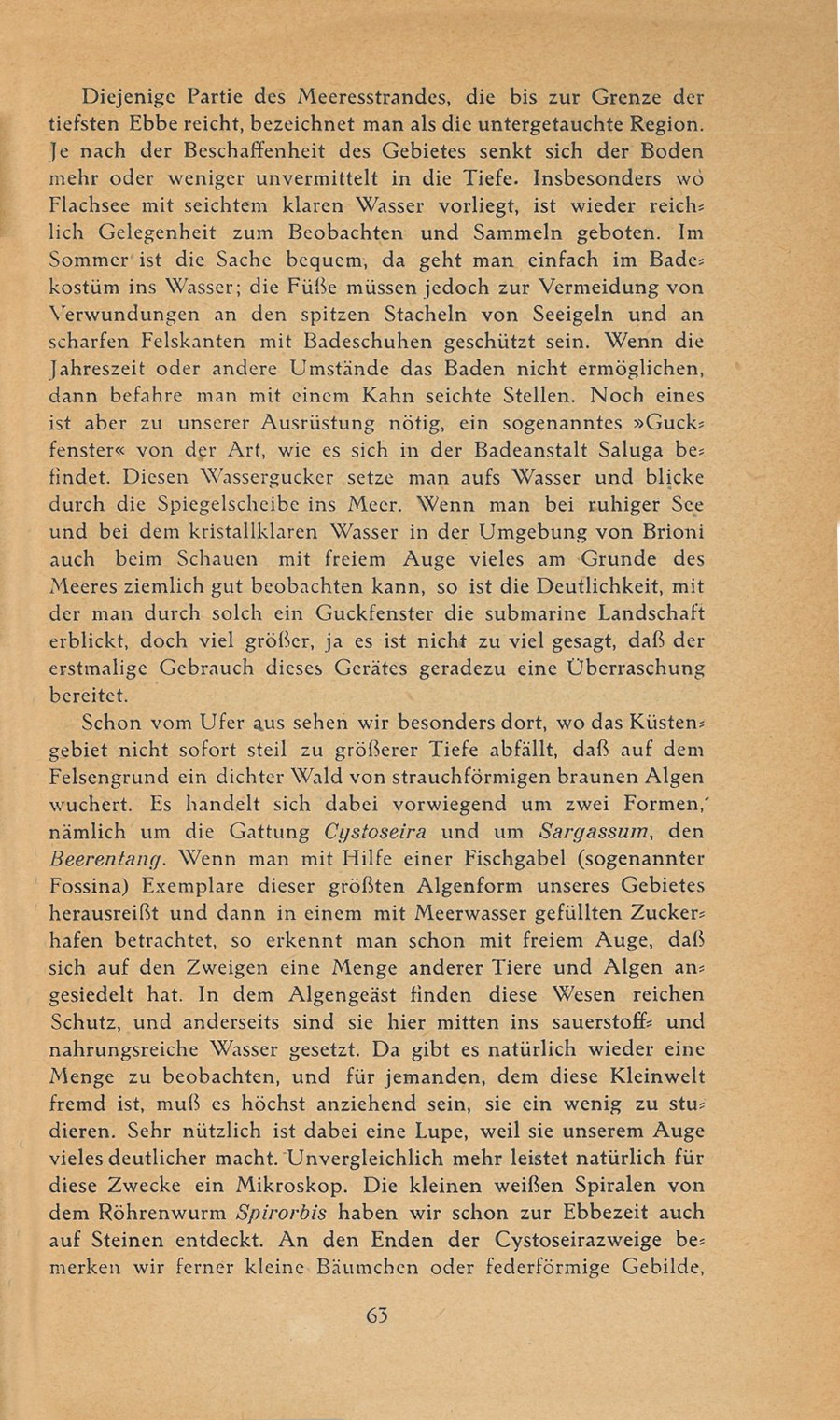 Führer durch Brioni · Str. 65
