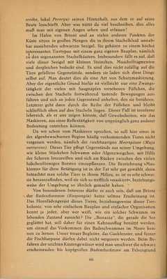 Führer durch Brioni · Str. 68