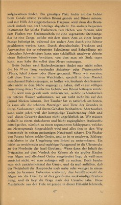 Führer durch Brioni · Str. 69