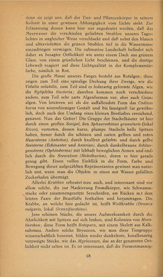 Führer durch Brioni · Str. 70