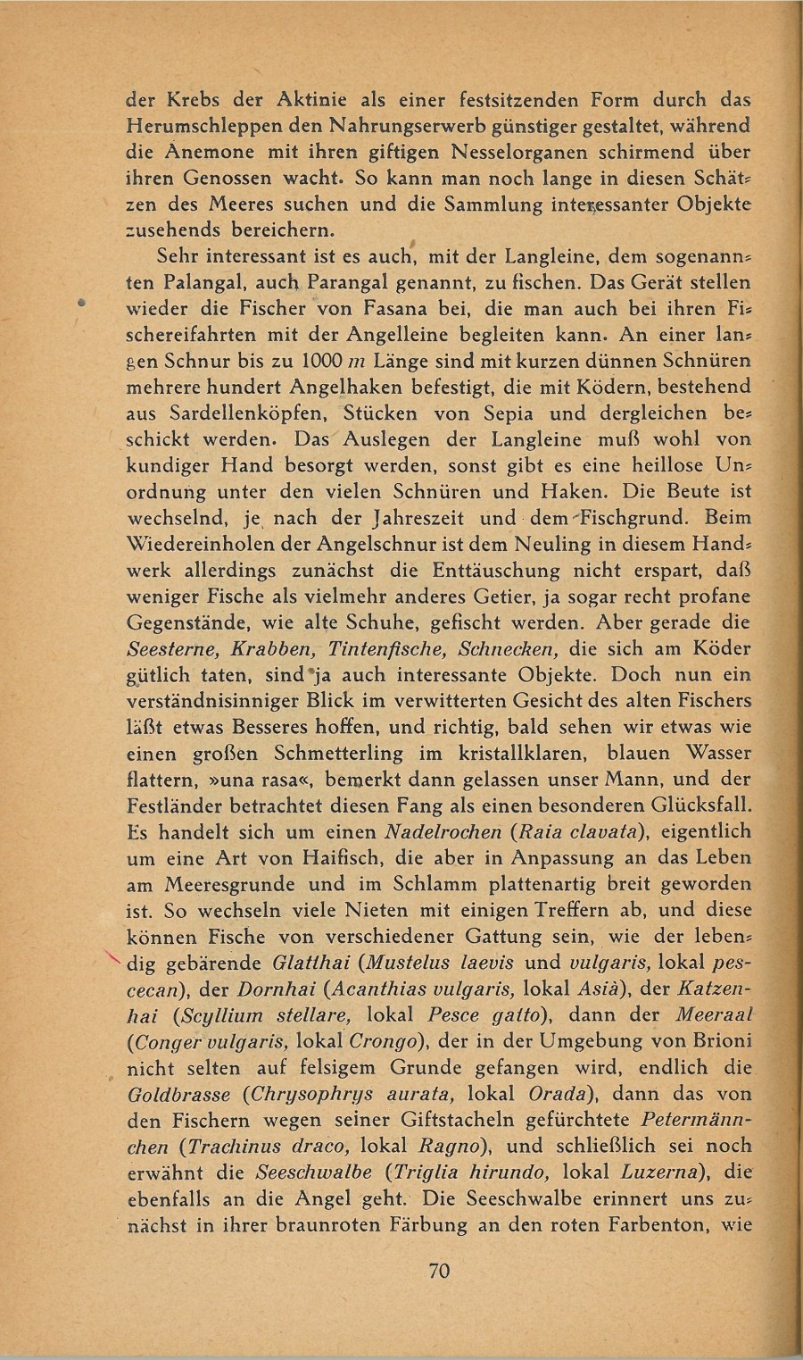 Führer durch Brioni · Str. 72