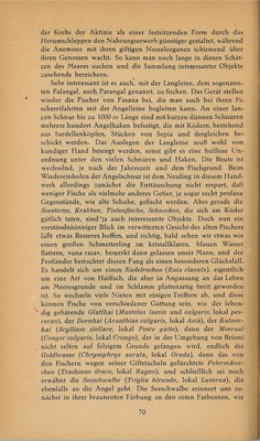 Führer durch Brioni · Str. 72