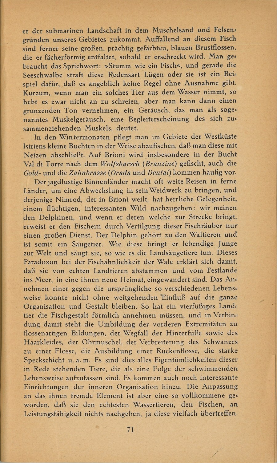 Führer durch Brioni · Str. 73