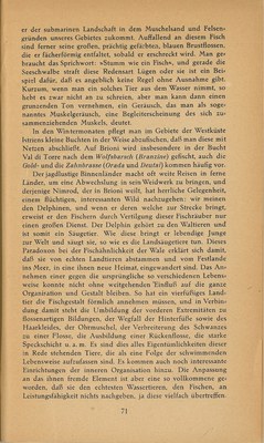 Führer durch Brioni · Str. 73